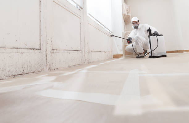 24/7 Emergency Mold Inspection experts in Interlochen, MI