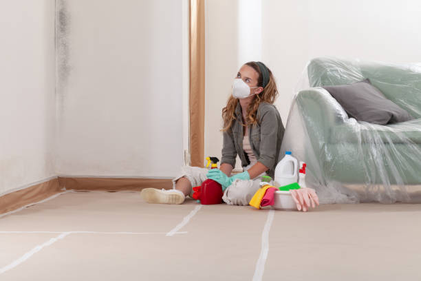 Reliable Mold Inspection contractor in Interlochen, MI by WQB Mold Removal
